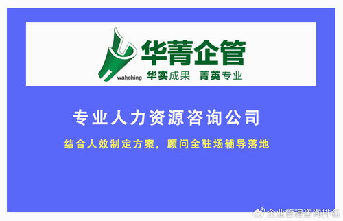 HR三支柱模型落地实践 人力资源咨询公司四大关键步骤与业务培训指南